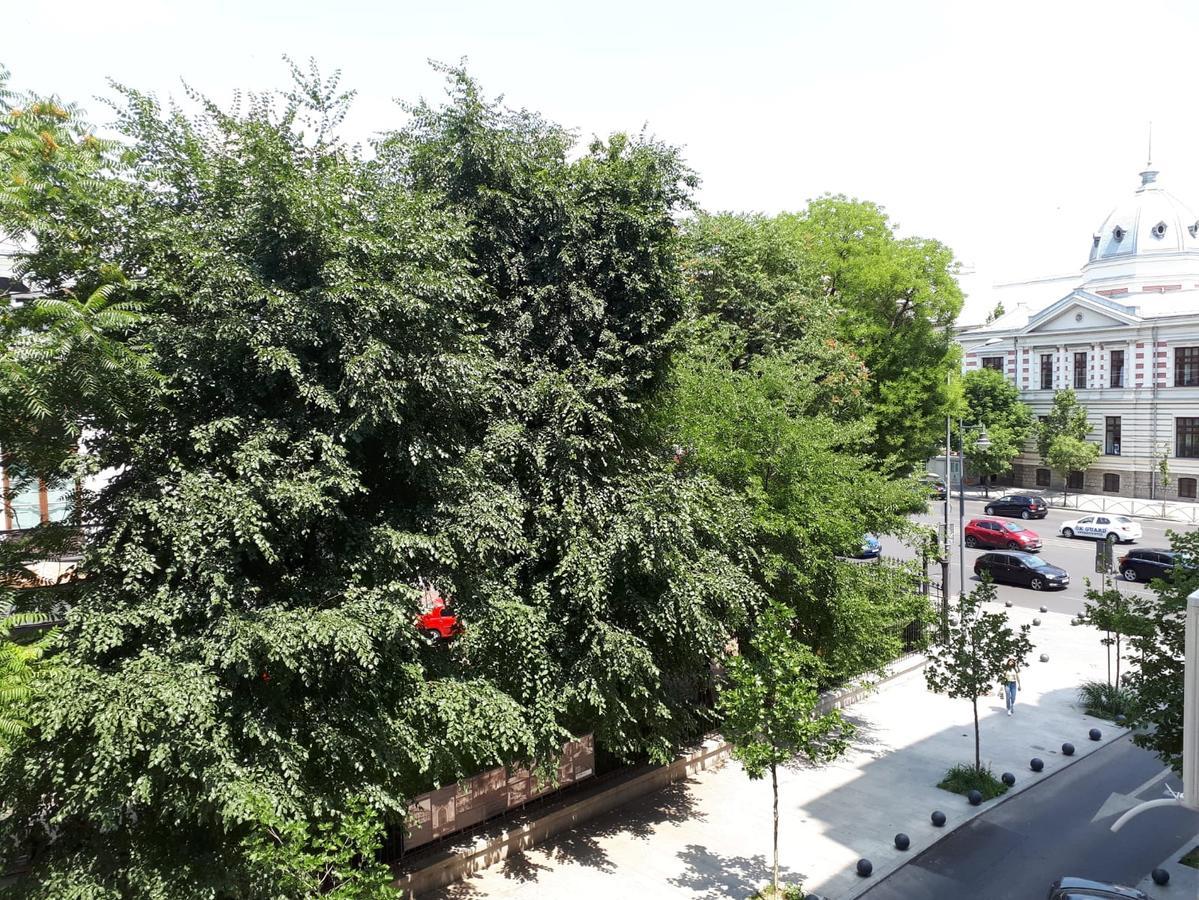 Studio Old Center Bucharest Exterior photo